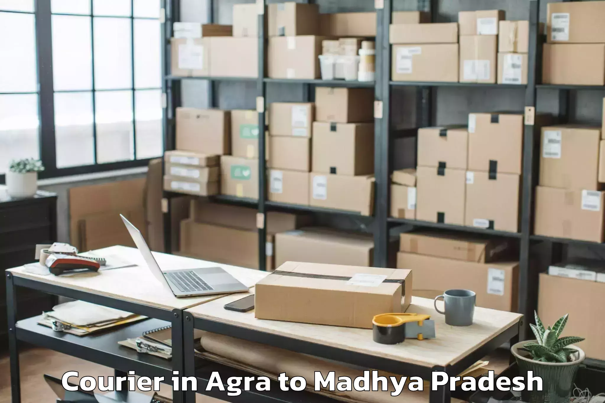 Easy Agra to Bhopal Airport Bho Courier Booking